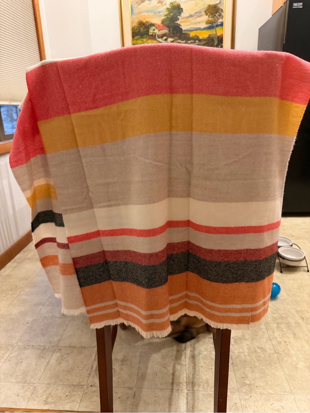 Striped Multicolor Throw Blanket - Home Accents